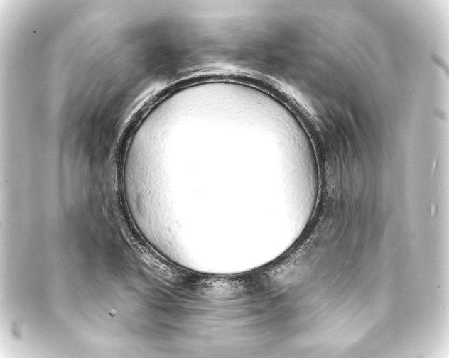 X0000093161318200710241012