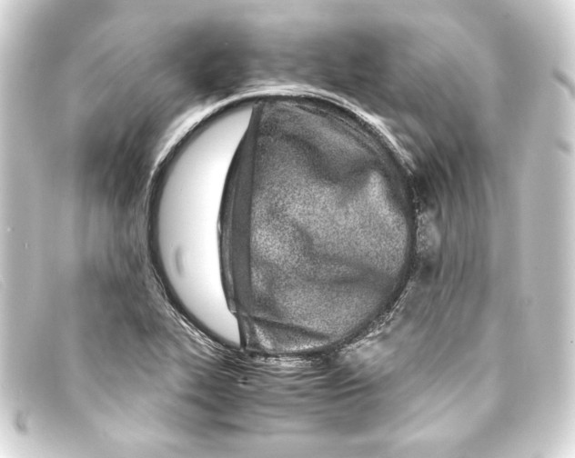 X0000093161319200710241012