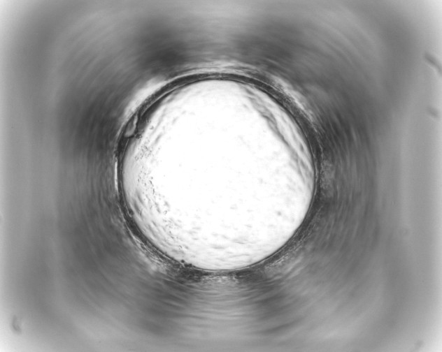 X0000093161320200710241012