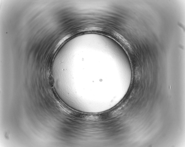 X0000093161321200710241012