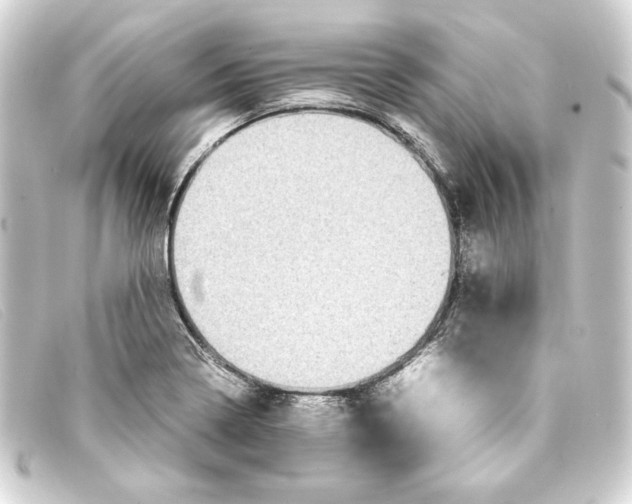 X0000093161322200710241012