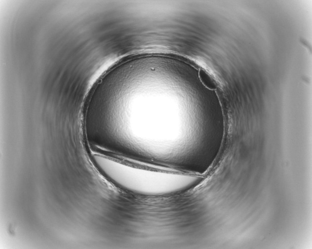 X0000093161325200710241012