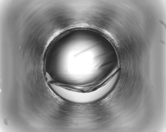 X0000093161326200710241012