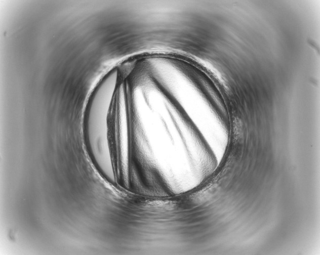 X0000093161327200710241012