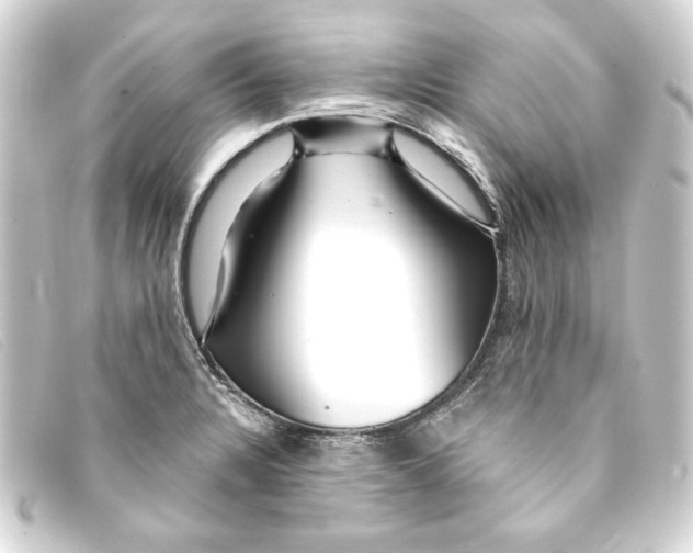 X0000093161328200710241012