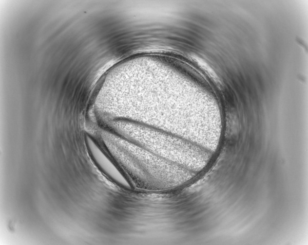 X0000093161329200710241012