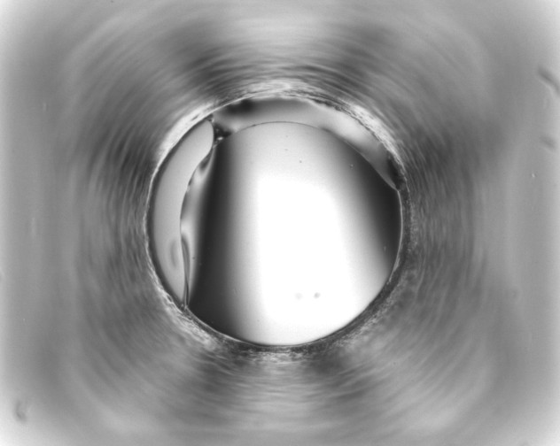X0000093161330200710241012