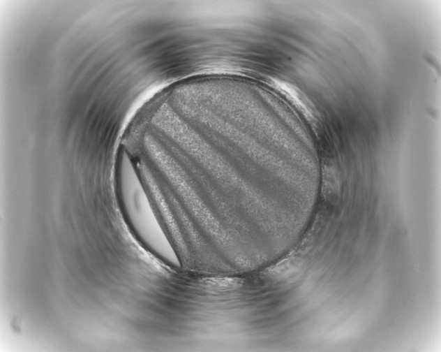 X0000093161331200710241012