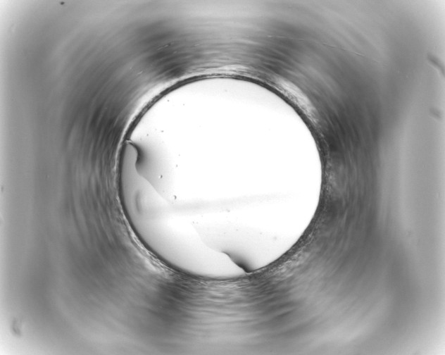X0000093161332200710241012