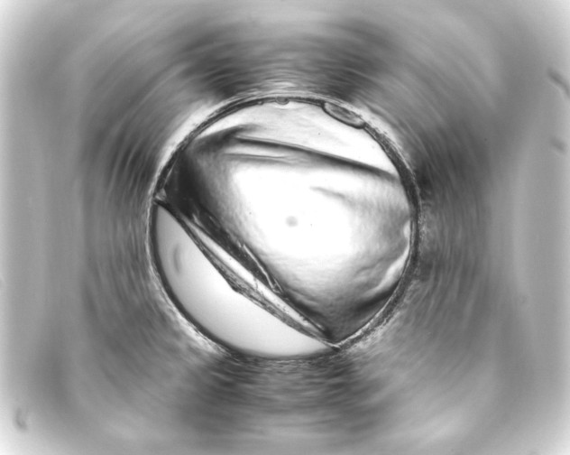 X0000093161333200710241012