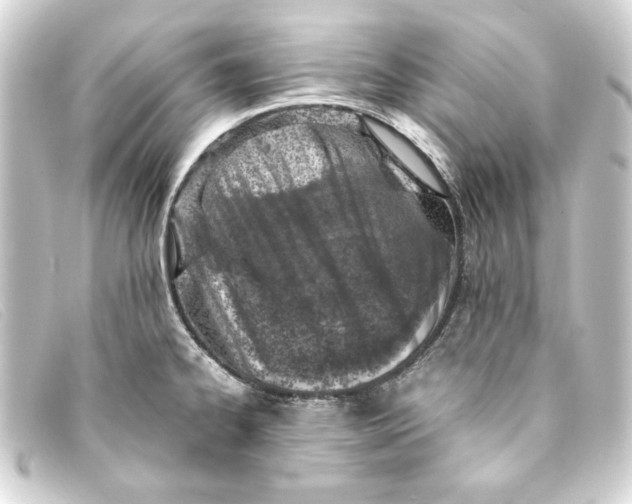 X0000093161334200710241012