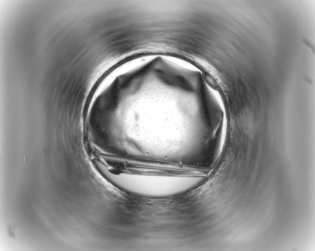 X0000093161335200710241012