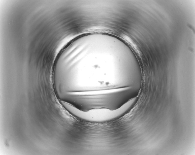 X0000093161336200710241012