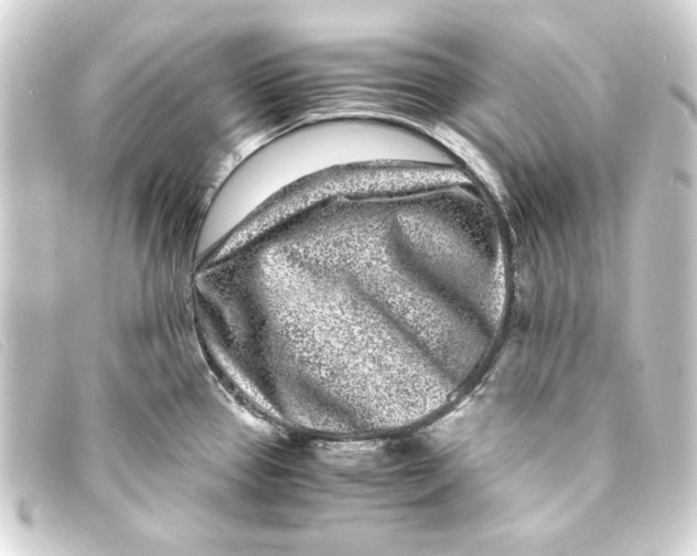 X0000093161337200710241012