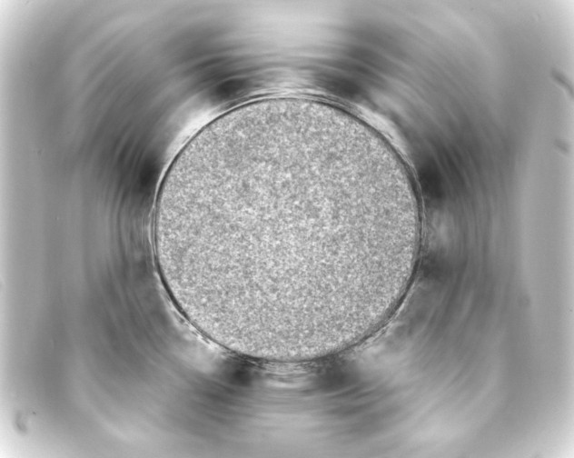 X0000093161338200710241012