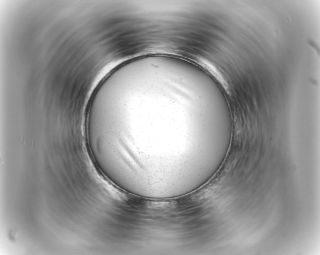 X0000093161339200710241012