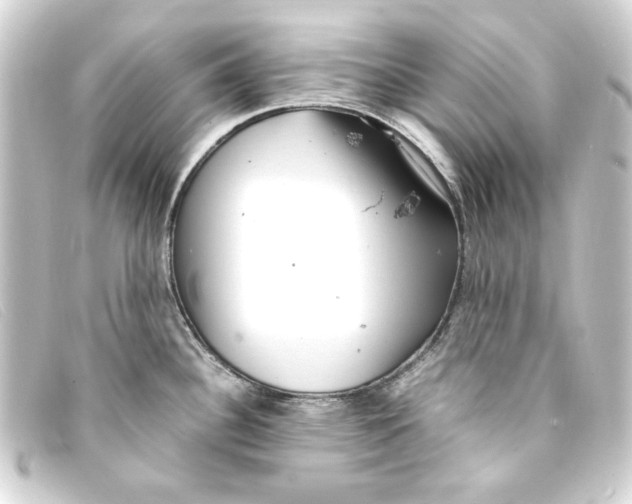X0000093161340200710241012