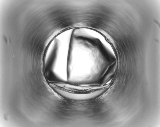 X0000093161341200710241012