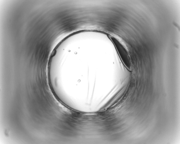 X0000093161343200710241012