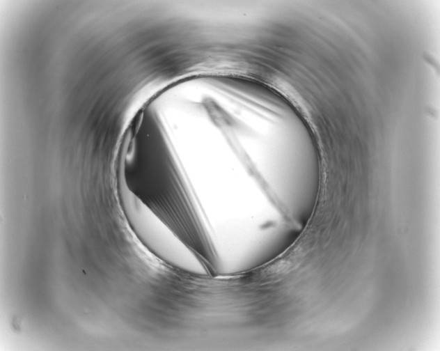 X0000093161344200710241012