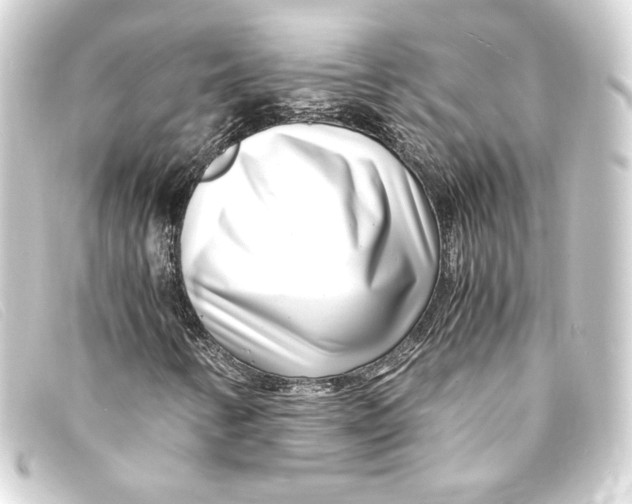 X0000093161346200710241012