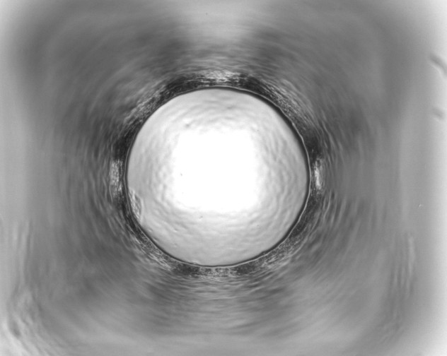 X0000093161347200710241012