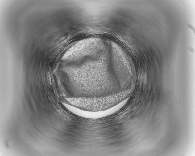 X0000093161348200710241012