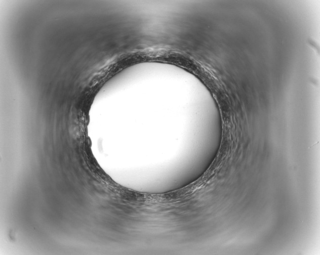 X0000093161349200710241012