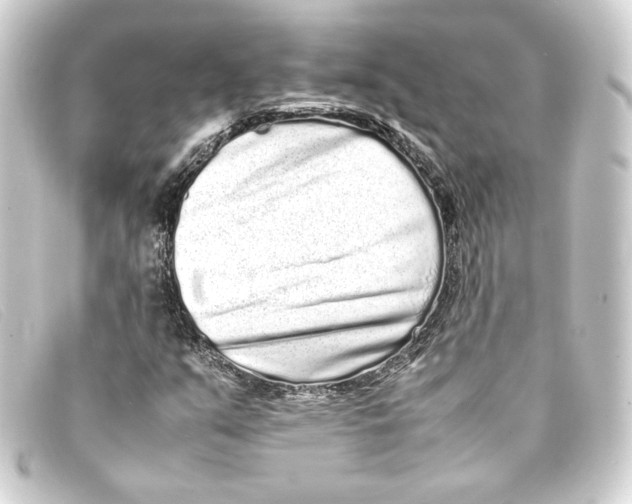 X0000093161351200710241012