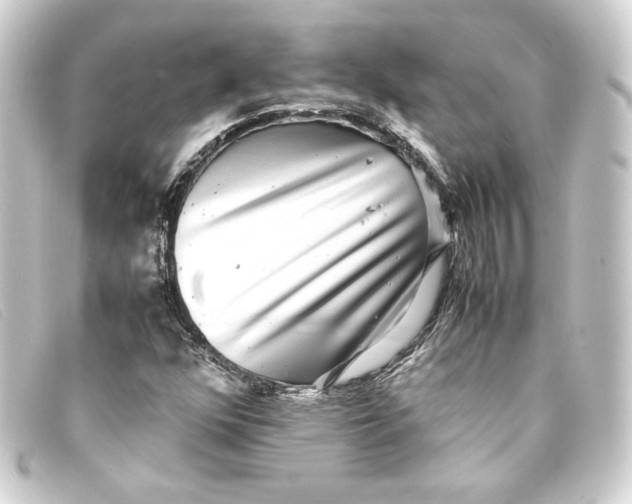 X0000093161352200710241012
