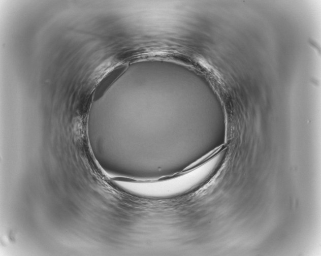 X0000093161353200710241012