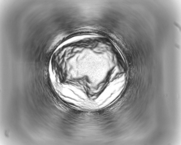 X0000093161355200710241012