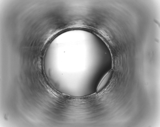 X0000093161356200710241012