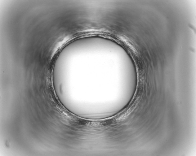 X0000093161357200710241012