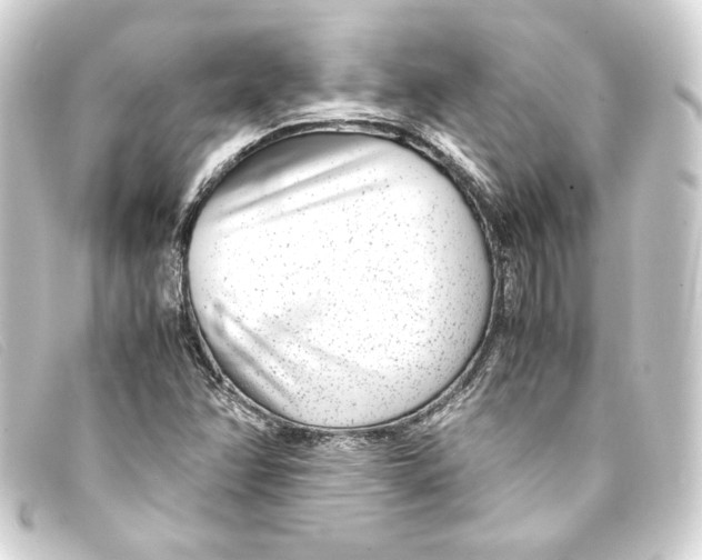 X0000093161358200710241012