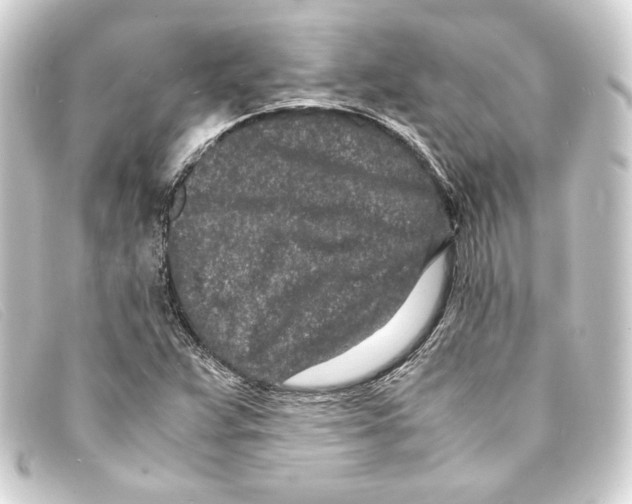 X0000093161359200710241012