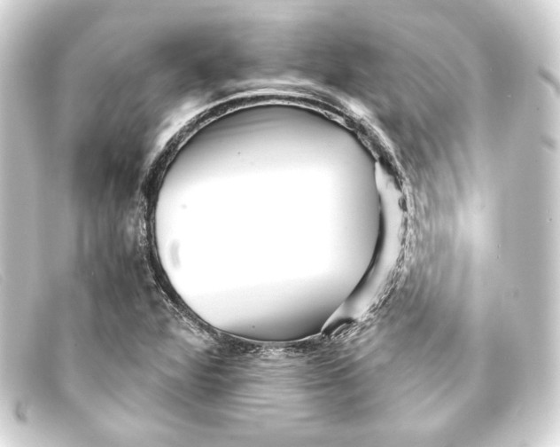 X0000093161360200710241012