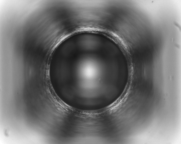X0000093161361200710241012