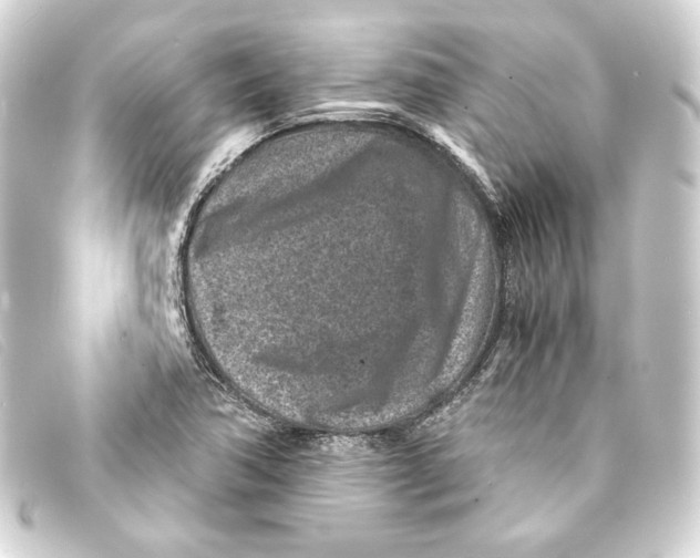 X0000093161362200710241012
