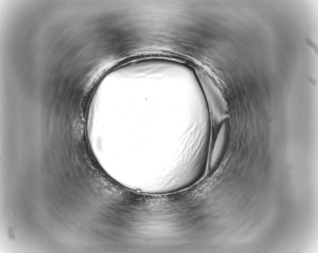 X0000093161363200710241012