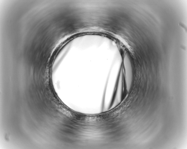 X0000093161364200710241012