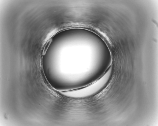 X0000093161365200710241012