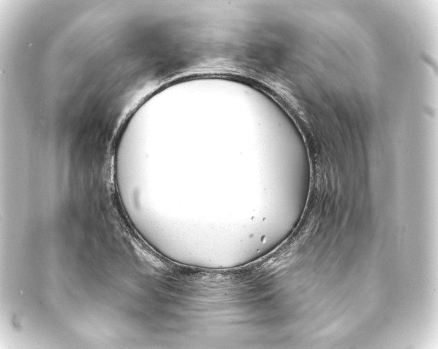 X0000093161366200710241012