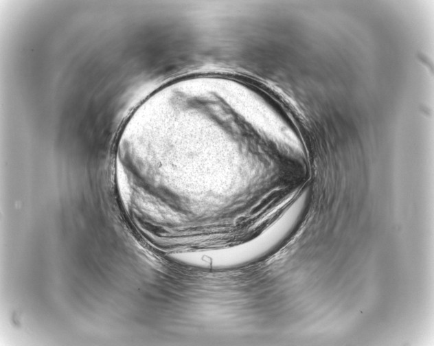 X0000093161367200710241012