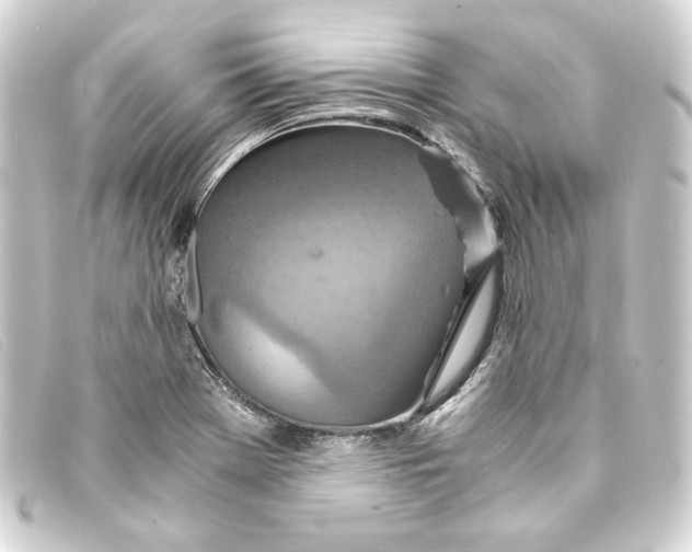 X0000093161369200710241012