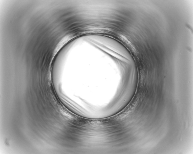 X0000093161370200710241012