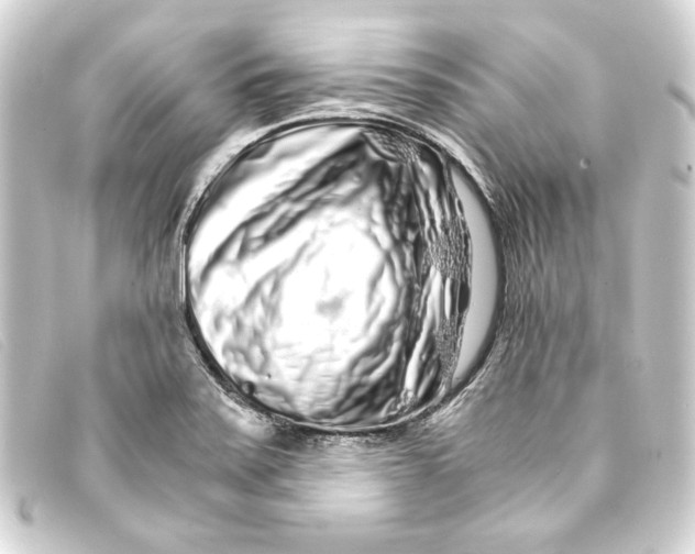 X0000093161371200710241011