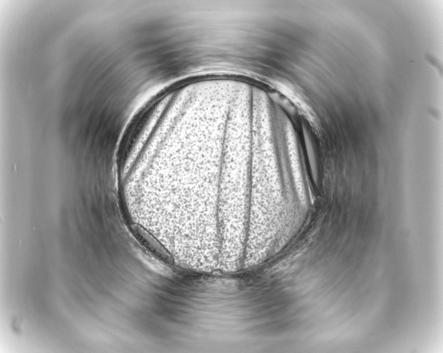X0000093161372200710241011