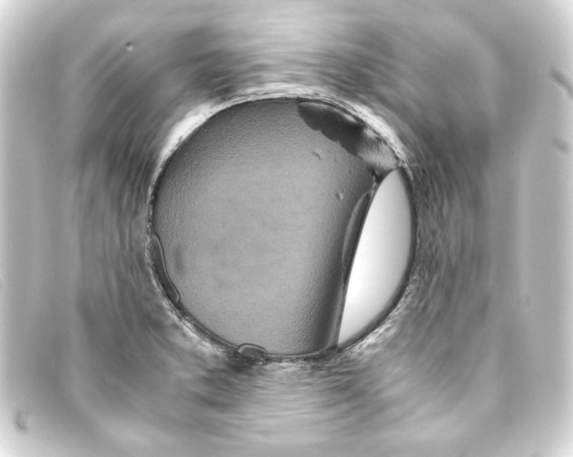 X0000093161373200710241011