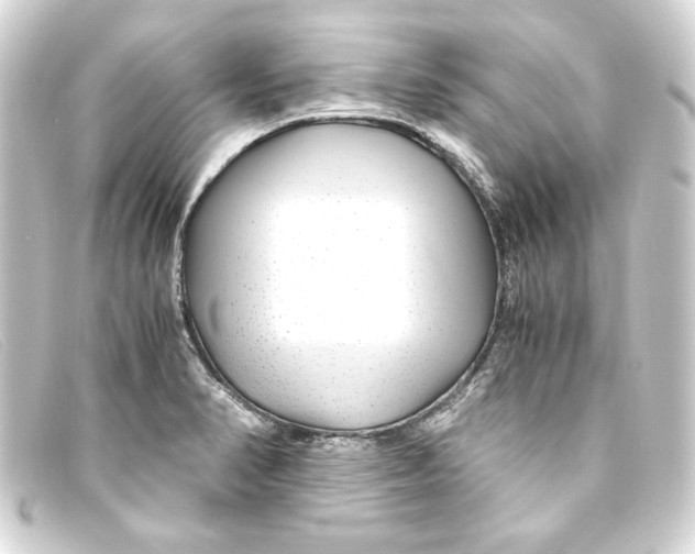 X0000093161374200710241011